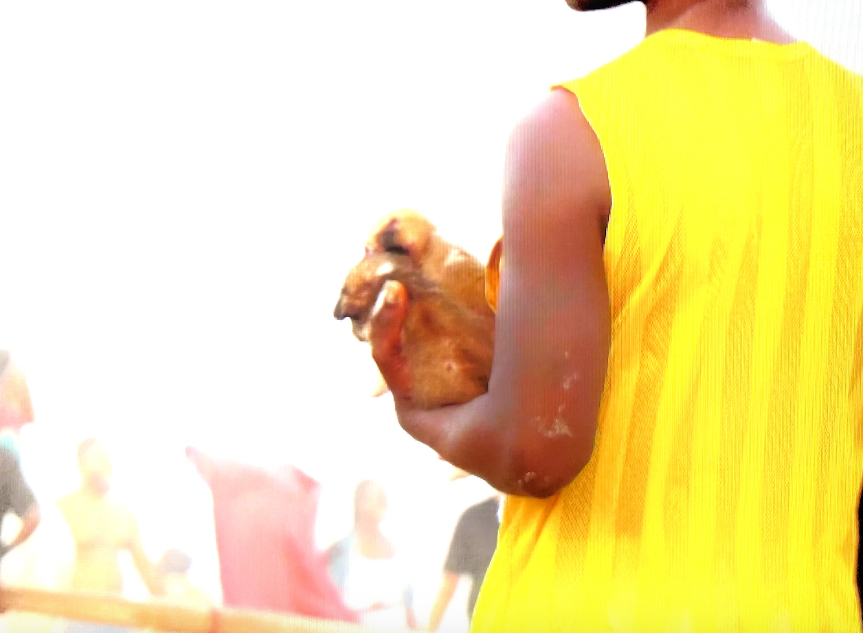 Bildschirmfoto%202025-07-08%20um%2000.24.29